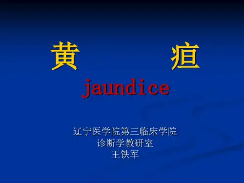 黄疸【8版诊断】