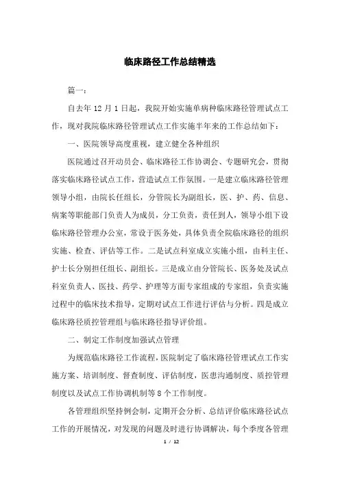 临床路径工作总结精选