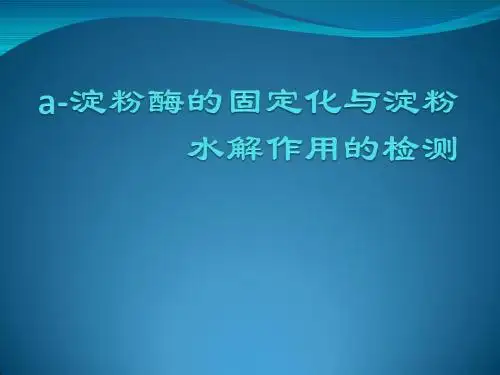 a-淀粉酶的固定化与淀粉溶液的检测.