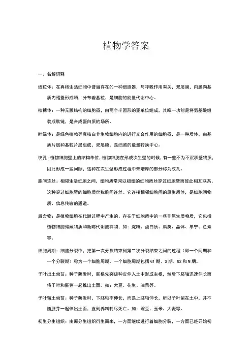 植物学答案