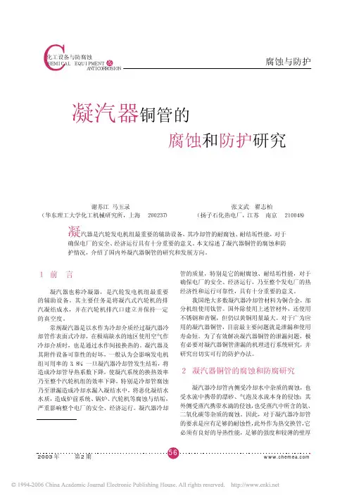 凝汽器铜管的腐蚀与防护