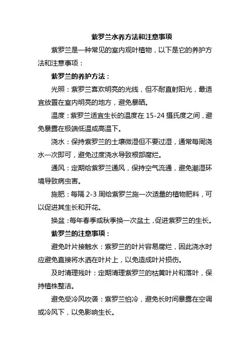 紫罗兰水养方法和注意事项