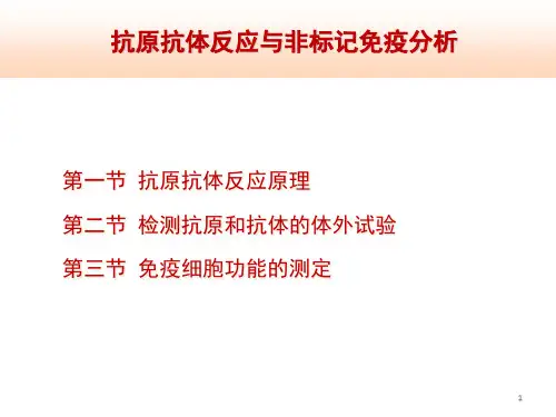 抗原抗体反应与非标记免疫分析精品PPT课件