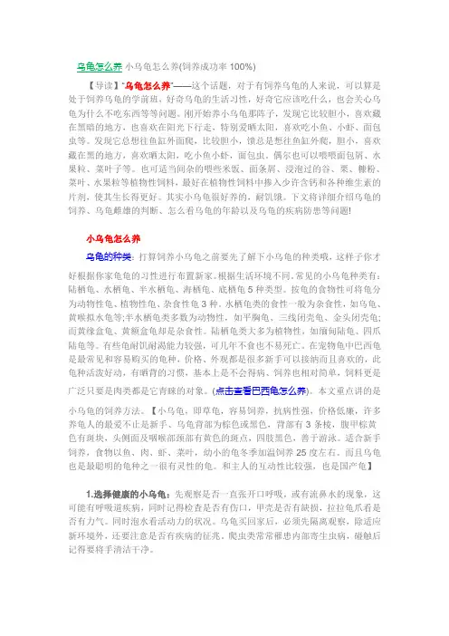 小乌龟怎么养