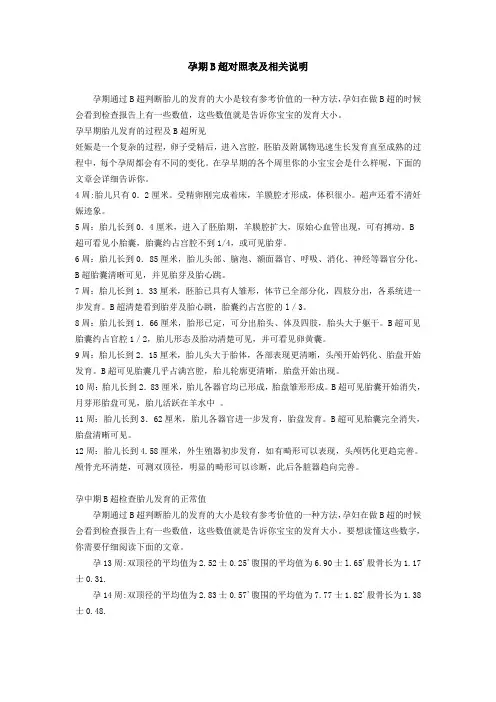 B超对照