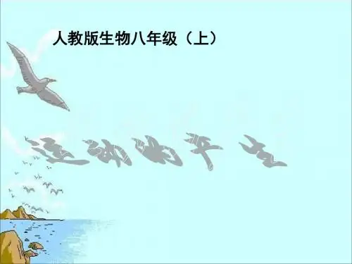 生物:5.2.1《动物的运动》课件(人教版八年级上)