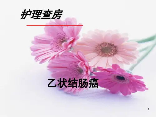 乙状结肠癌护理PPT课件