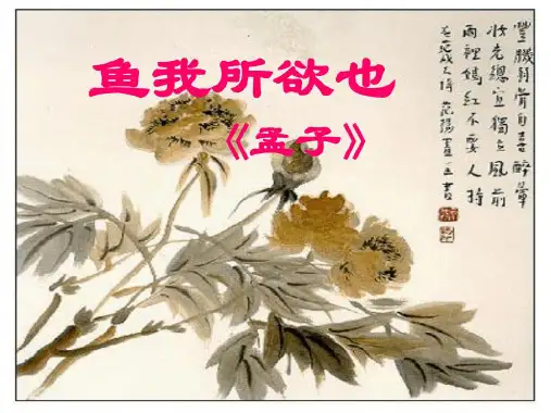 鱼我所欲也优秀实用课件