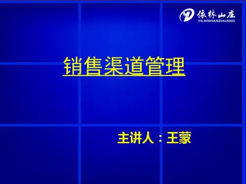 销售渠道管理 王蒙