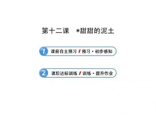 3.12 甜甜的泥土 课件(苏教版八年级上)