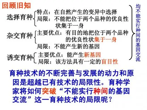 基因工程及应用-公开课