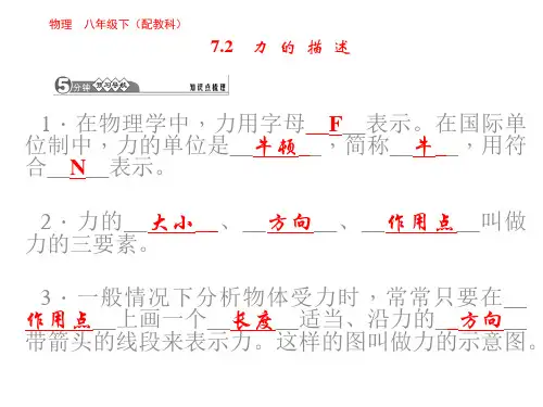 《力的描述》课件6
