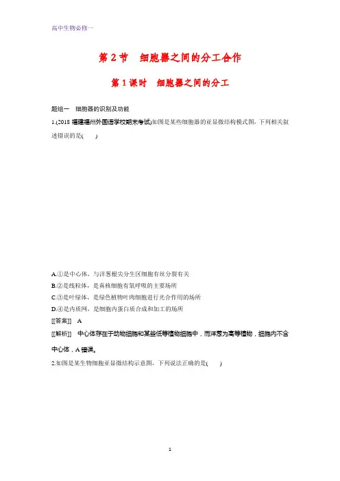 高中生物必修1课时作业1：3.2.1 细胞器之间的分工