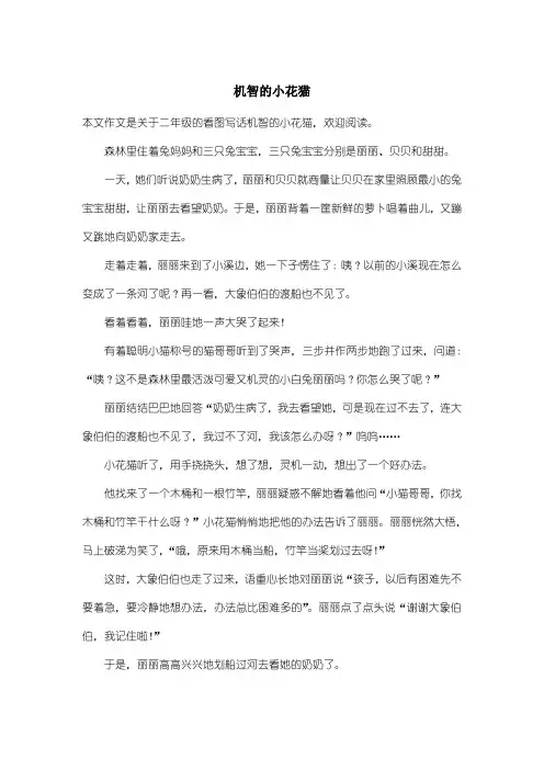 小学二年级看图写话：机智的小花猫