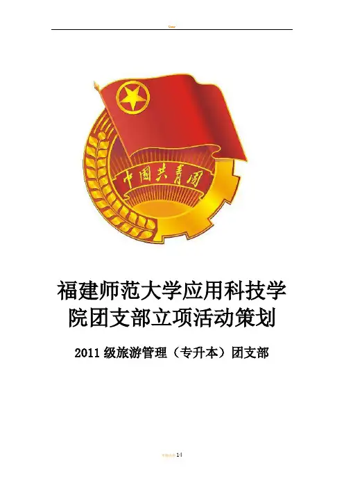 团立项策划书