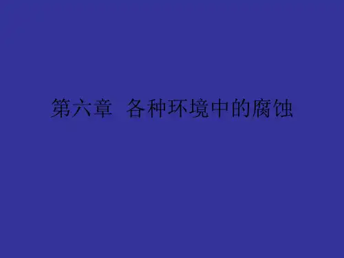 第六章 各种环境中的腐蚀