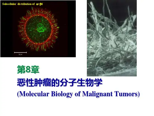 恶性肿瘤的分子生物学