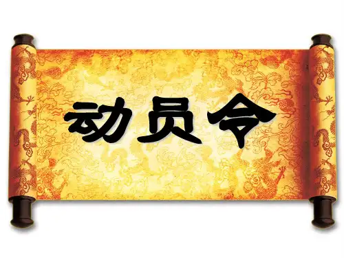 保险公司动员大会领导讲话演示文稿