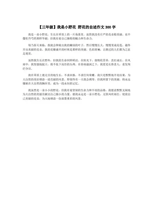 【三年级】我是小野花 野花的自述作文300字