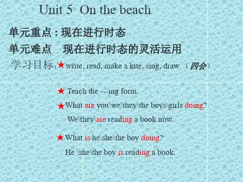 Unit 5 On the beach