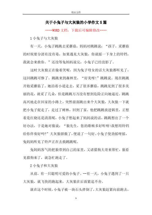 关于小兔子与大灰狼的小学作文5篇