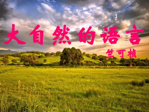 大自然的语言