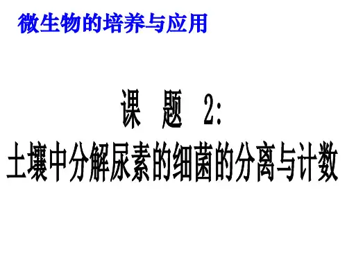 2-2土壤中分解尿素尿素的细菌的分离与计数 ppt