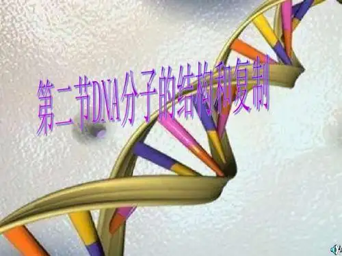 课件 第四章 第2节 DNA的结构和DNA的复制