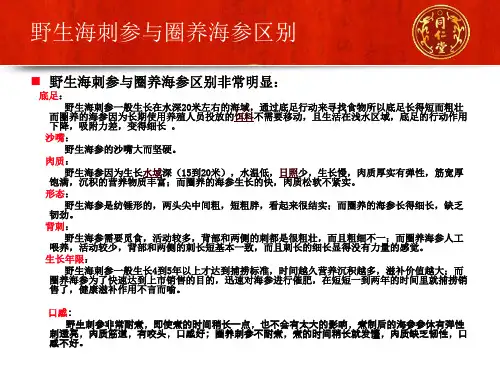 野生刺参与圈养海参区别