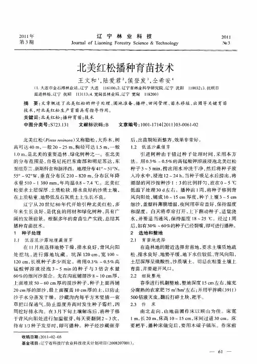 北美红松播种育苗技术