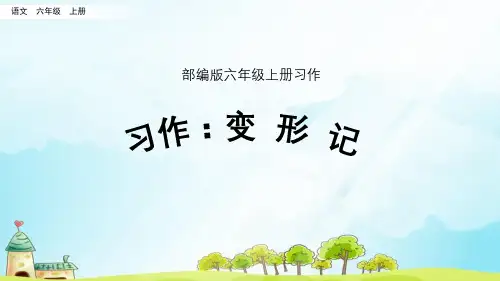 习作：变形记 部编版六年级上册