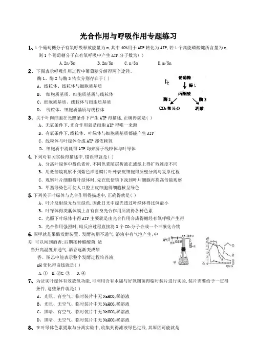 光合作用和呼吸作用专题练习题及答案