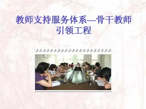 职业素养与教师专业化 5