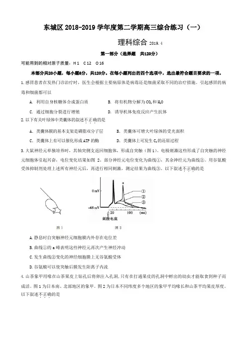 北京市东城区2019届高三4月综合练习(一模)理科综合试题(含答案)