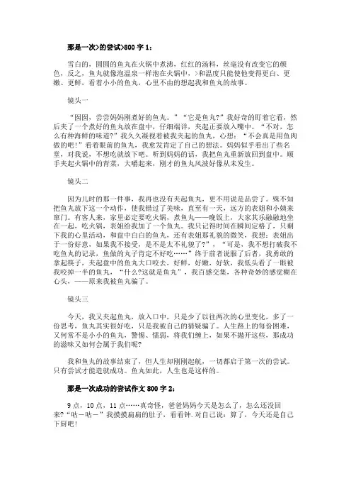 那是一次成功的尝试作文800字3篇
