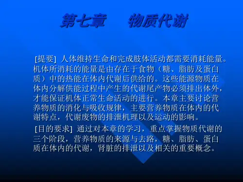 第七章 物质代谢