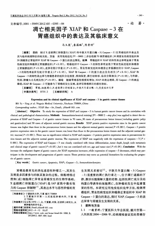 凋亡相关因子XIAP和Caspase-3在胃癌组织中的表达及其临床意义