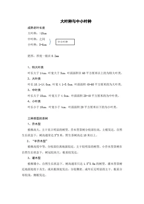大叶种与中小叶种