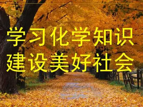 《空气》第一课时空气PPT课件