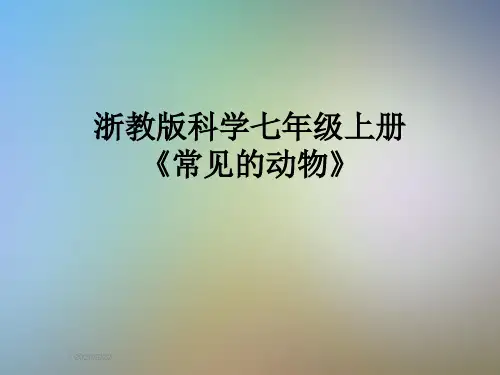 浙教版科学七年级上册 《常见的动物》