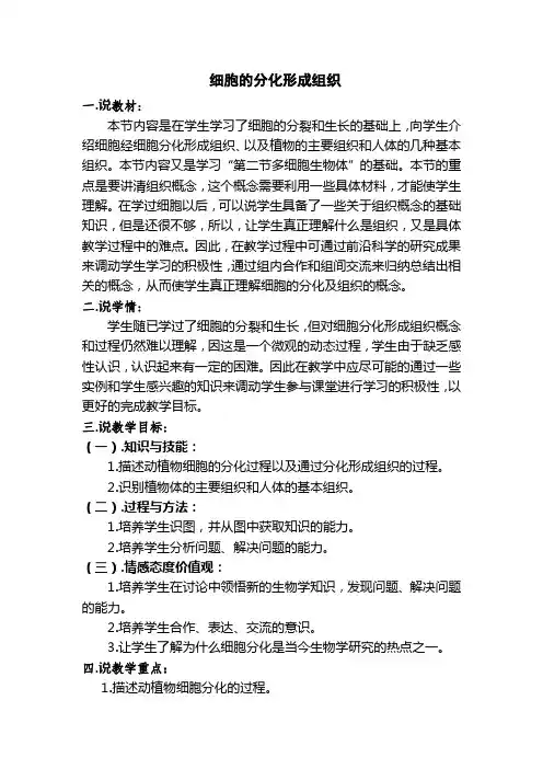 细胞分化与组织形成说课稿