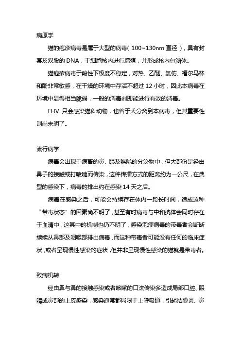 猫的疱疹病毒治疗