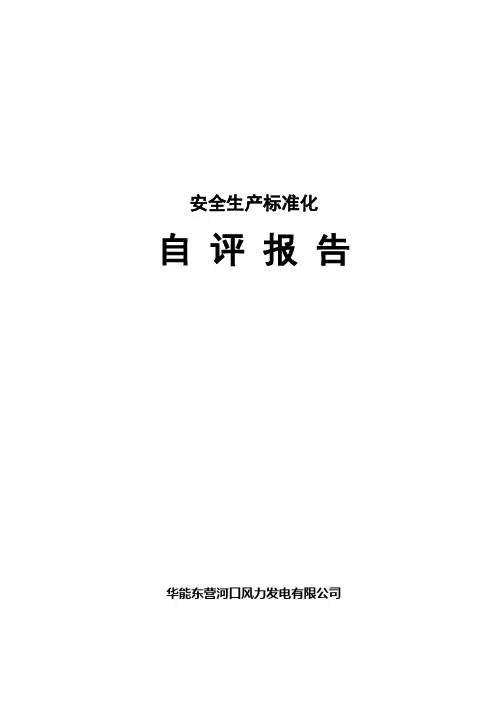 安全生产标准化自评报告 2