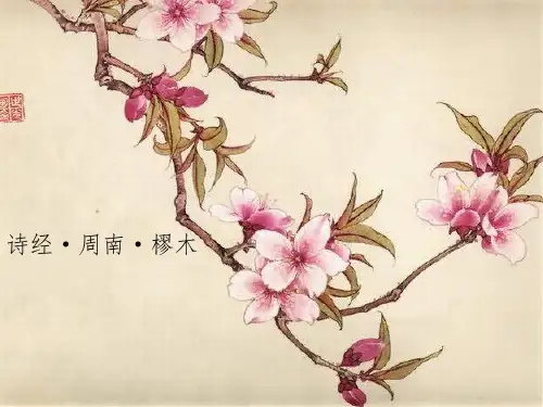 诗经·周南·樛木