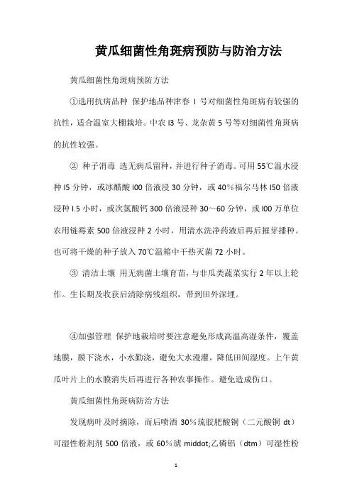 黄瓜细菌性角斑病预防与防治方法