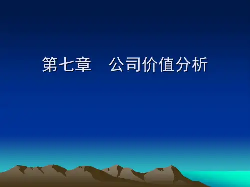第七章 公司价值分析