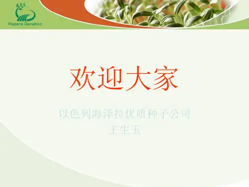 常见番茄生理病害讲座