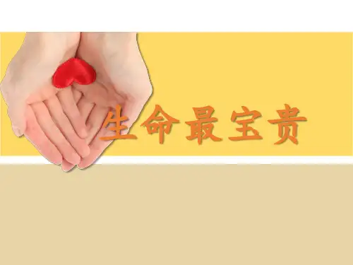 部编版三年级上册道德与法治第三单元课件