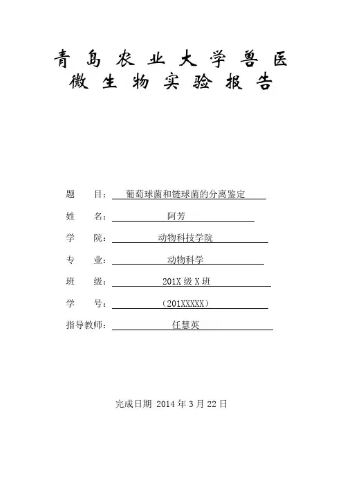葡萄球菌和链球菌的微生物学检查
