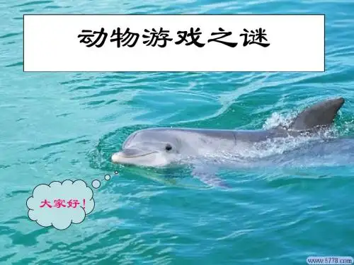 人教版高中语文必修3 动物游戏之谜  PPT课件